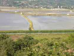 13_saline sicciole.JPG